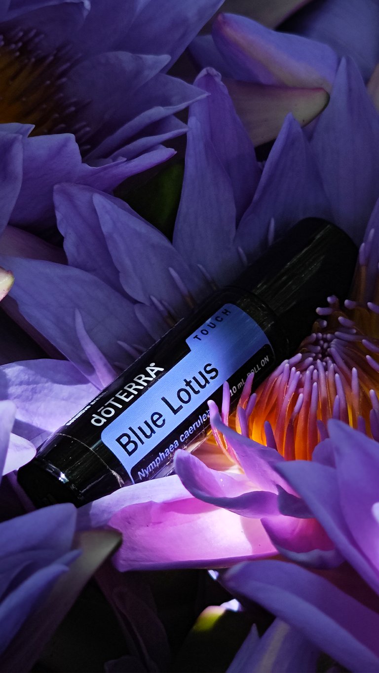 Essential oil bottle among blue lotus flowers